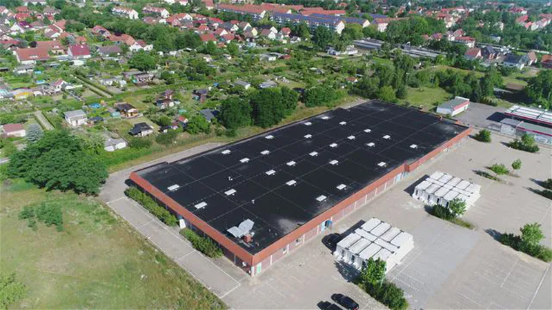 Beitrag 1